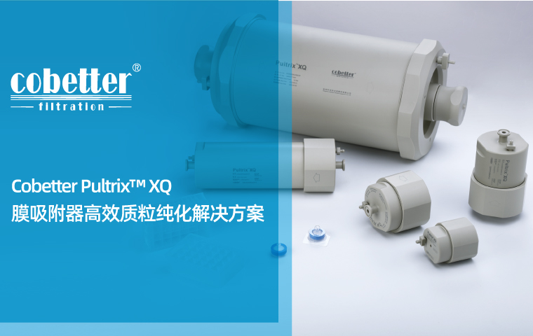 Cobetter Pultrix™ XQ  膜吸附器高效质粒纯化解决方案