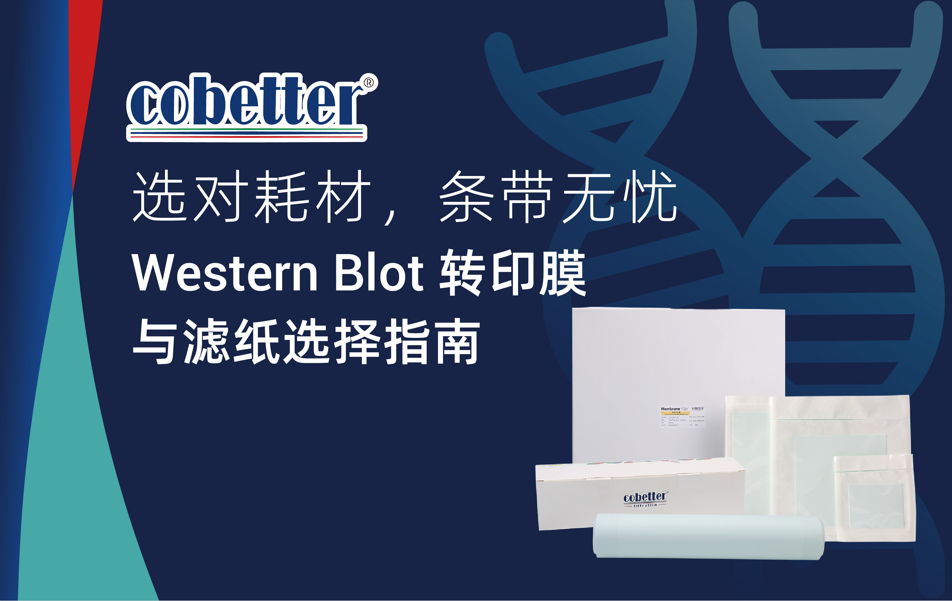 选对耗材，条带无忧——Western Blot转印膜与滤纸选择指南