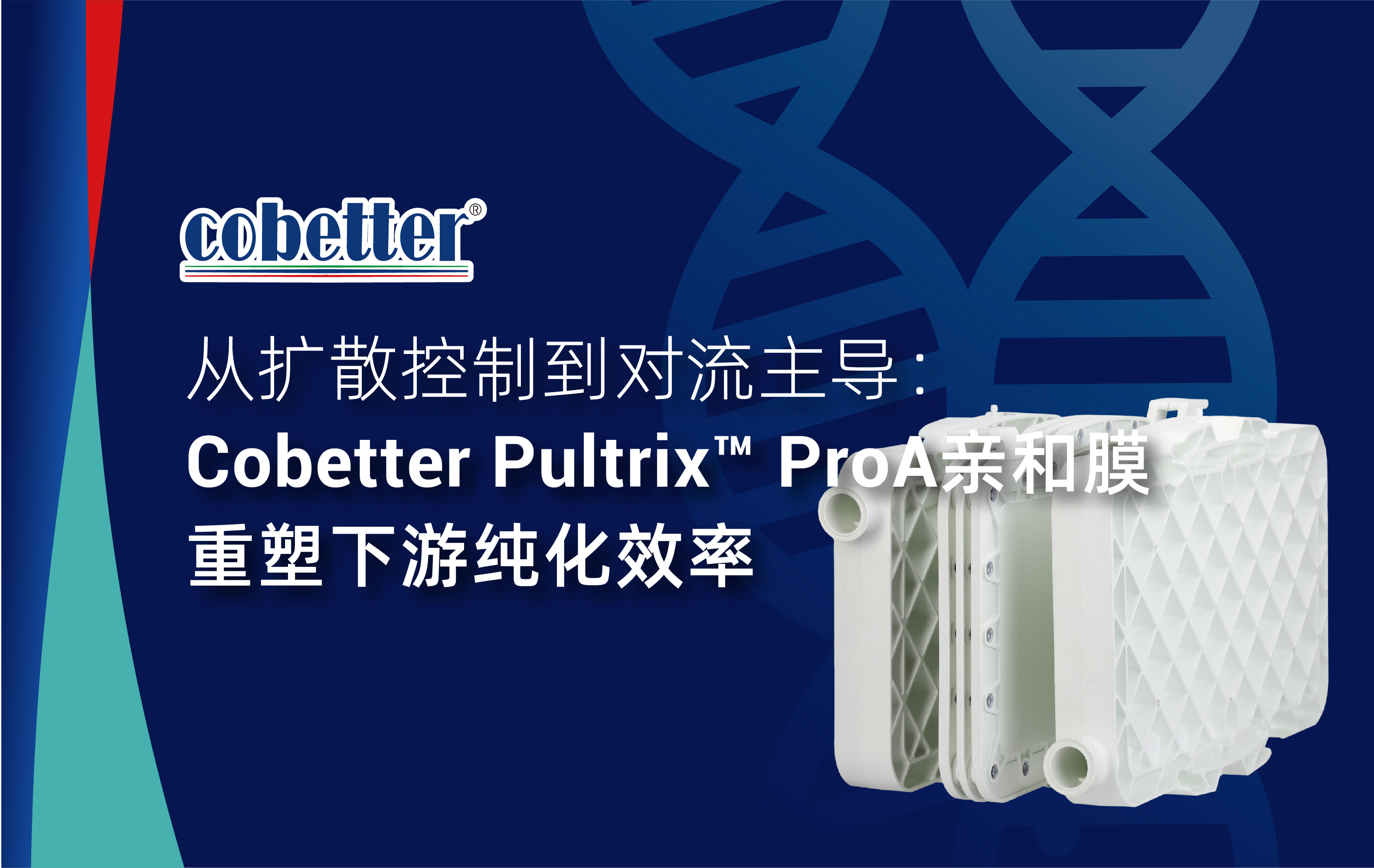 从扩散控制到对流主导： Cobetter Pultrix™ ProA亲和膜重塑下游纯化效率