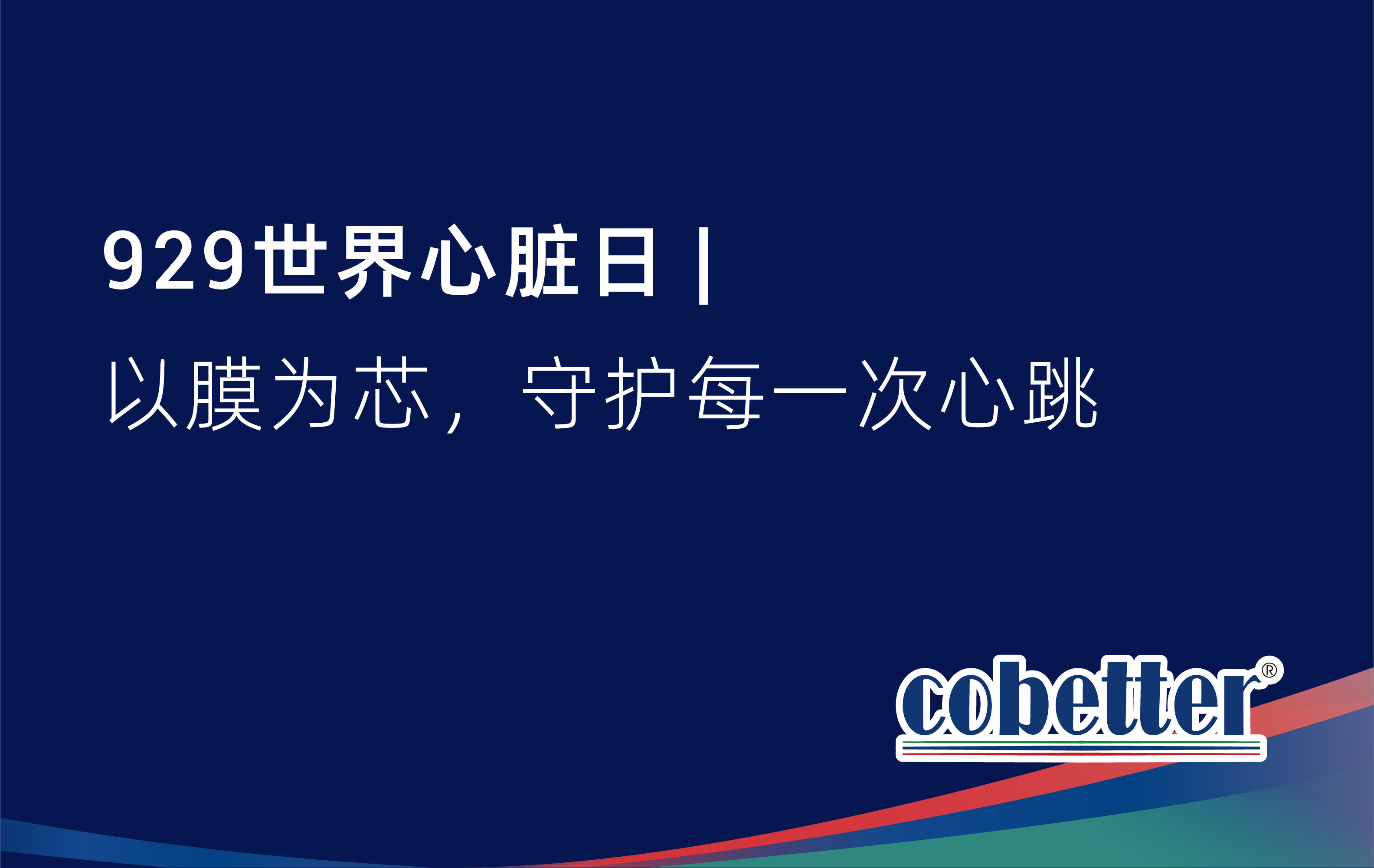 929世界心脏日 |  以膜为芯，守护每一次心跳